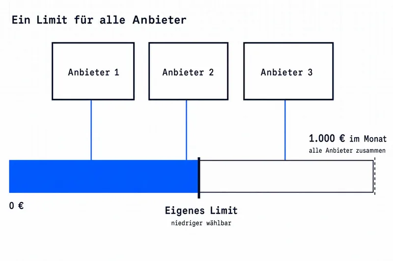 Ein Limit für alle Anbieter: Einzahlungen bei Anbieter 1, 2 und 3 fließen in denselben Balken, der bei 1.000 € im Monat für alle Anbieter zusammen endet. Ein eigenes Limit liegt darunter und ist niedriger wählbar.
